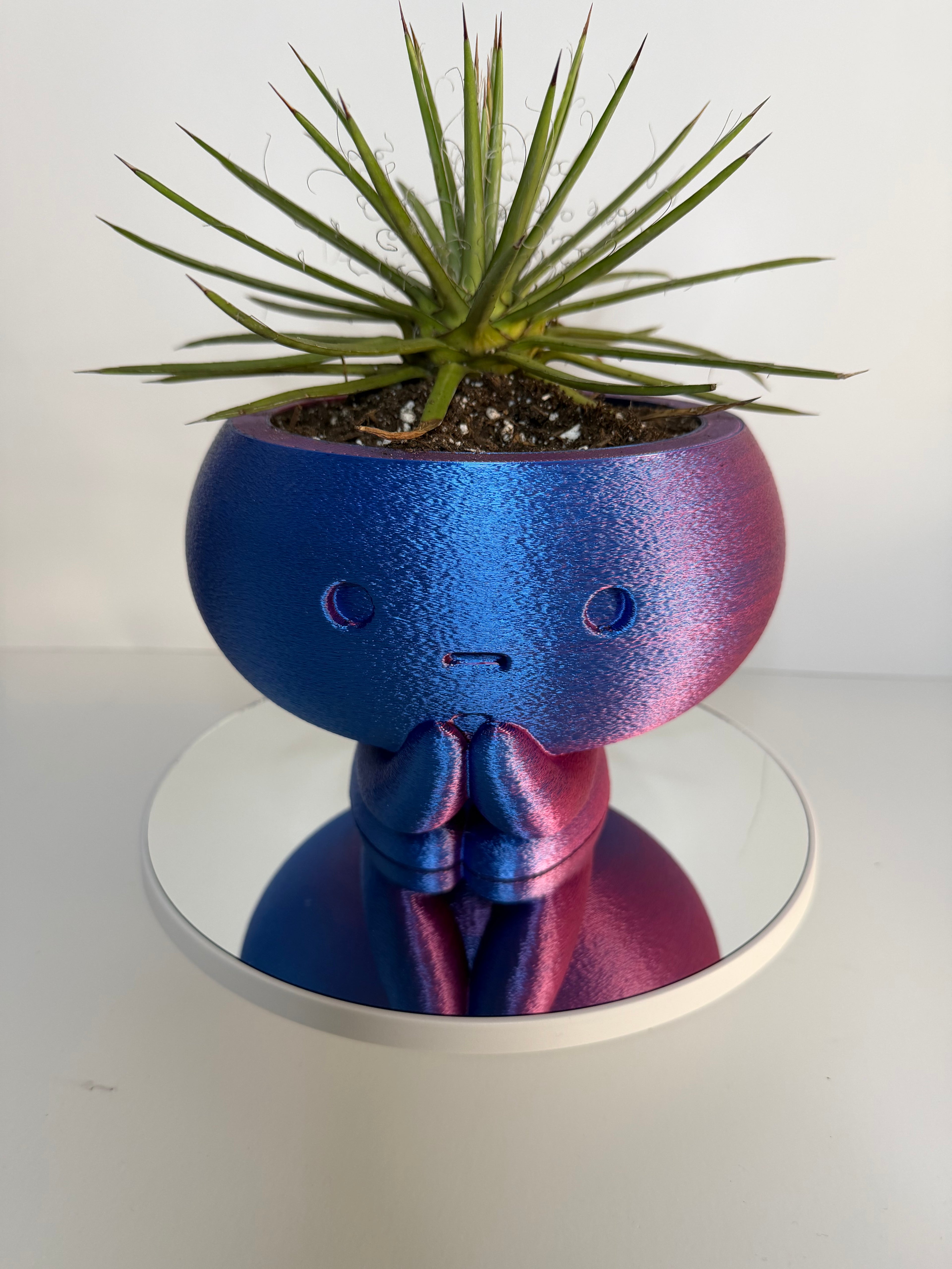 Pot Head Planter
