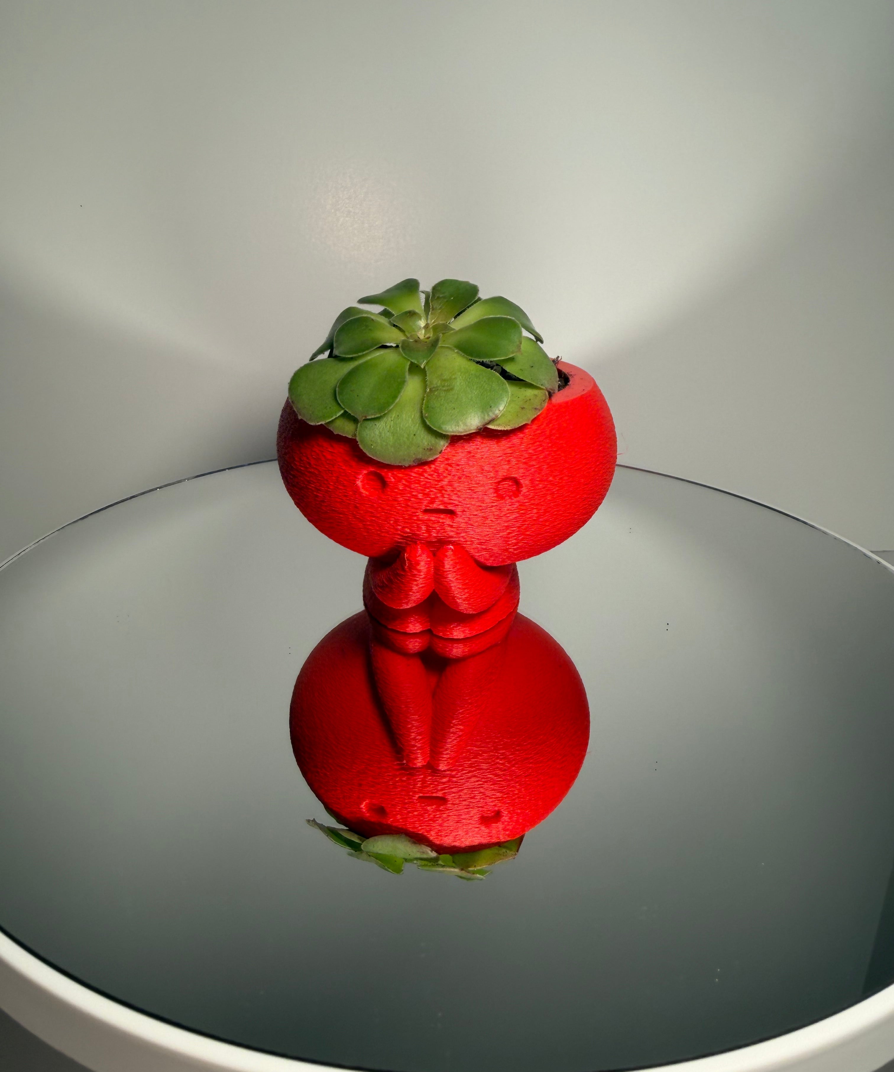 Pot Head Planter