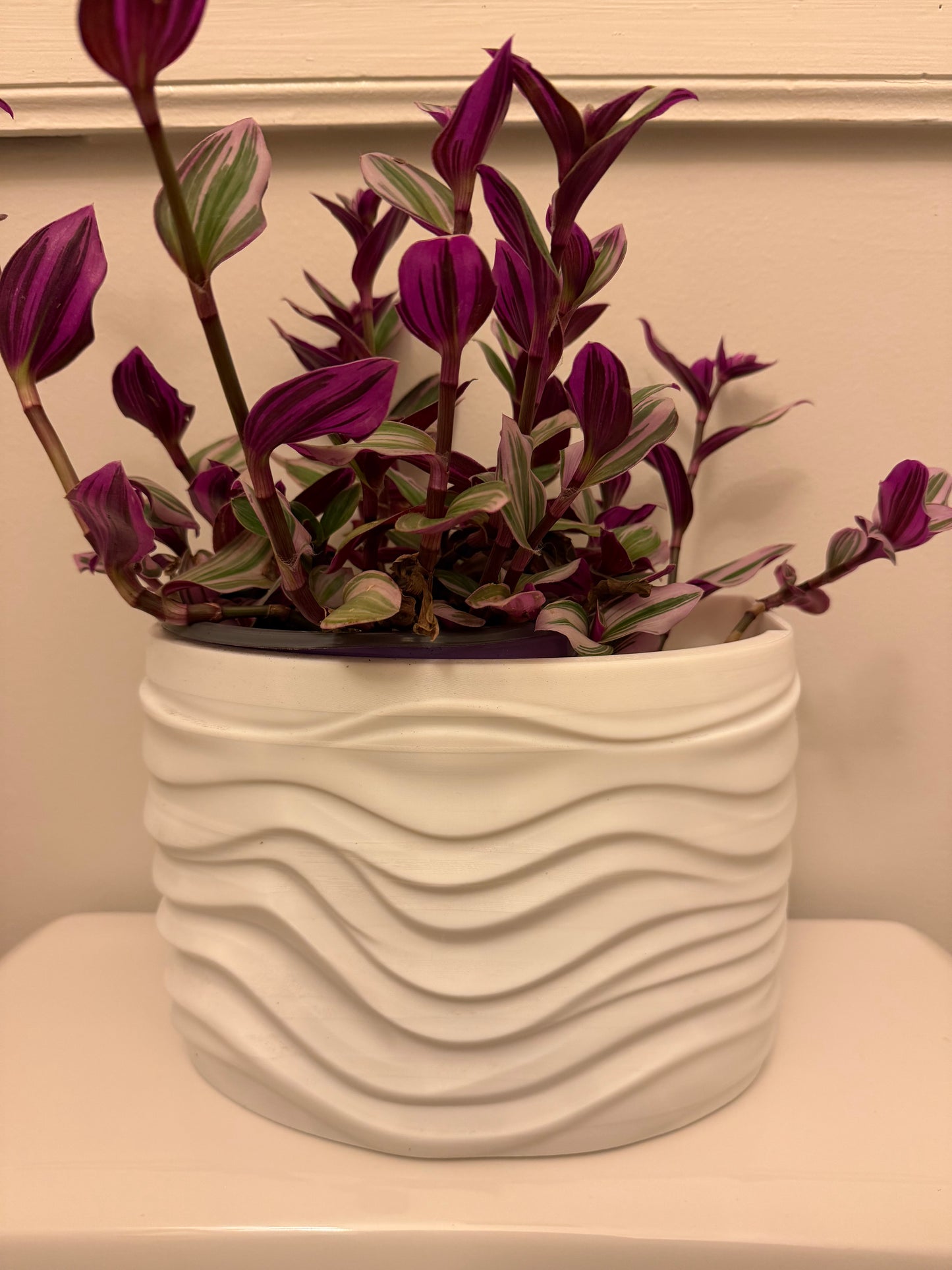 Karlog Planter