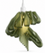 Arise Pendant Light