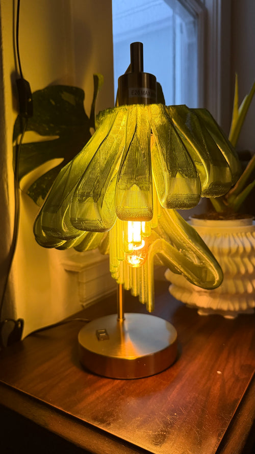 Arise Desk Lamp