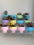 Pot Head Planter