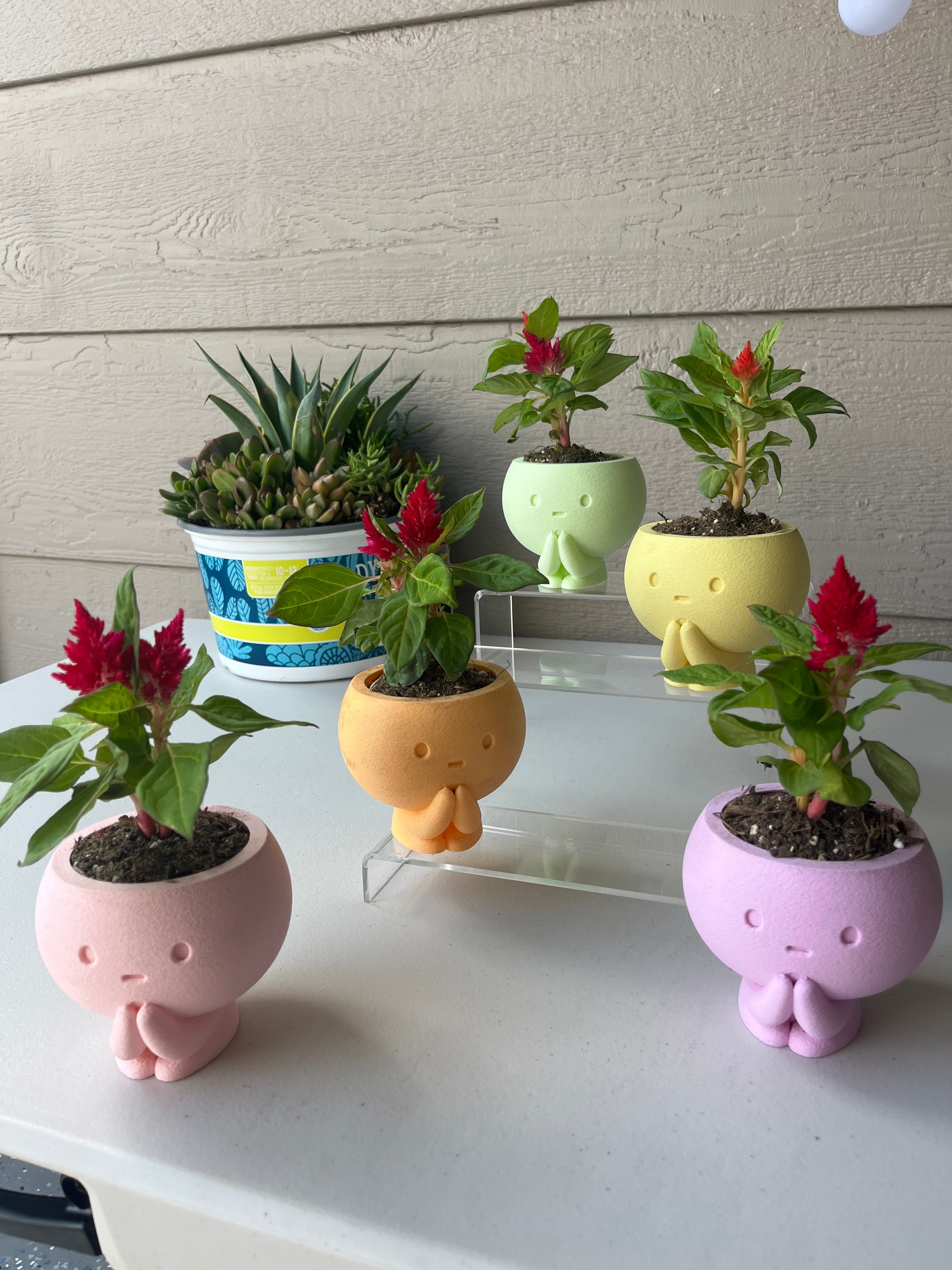 Pot Head Planter