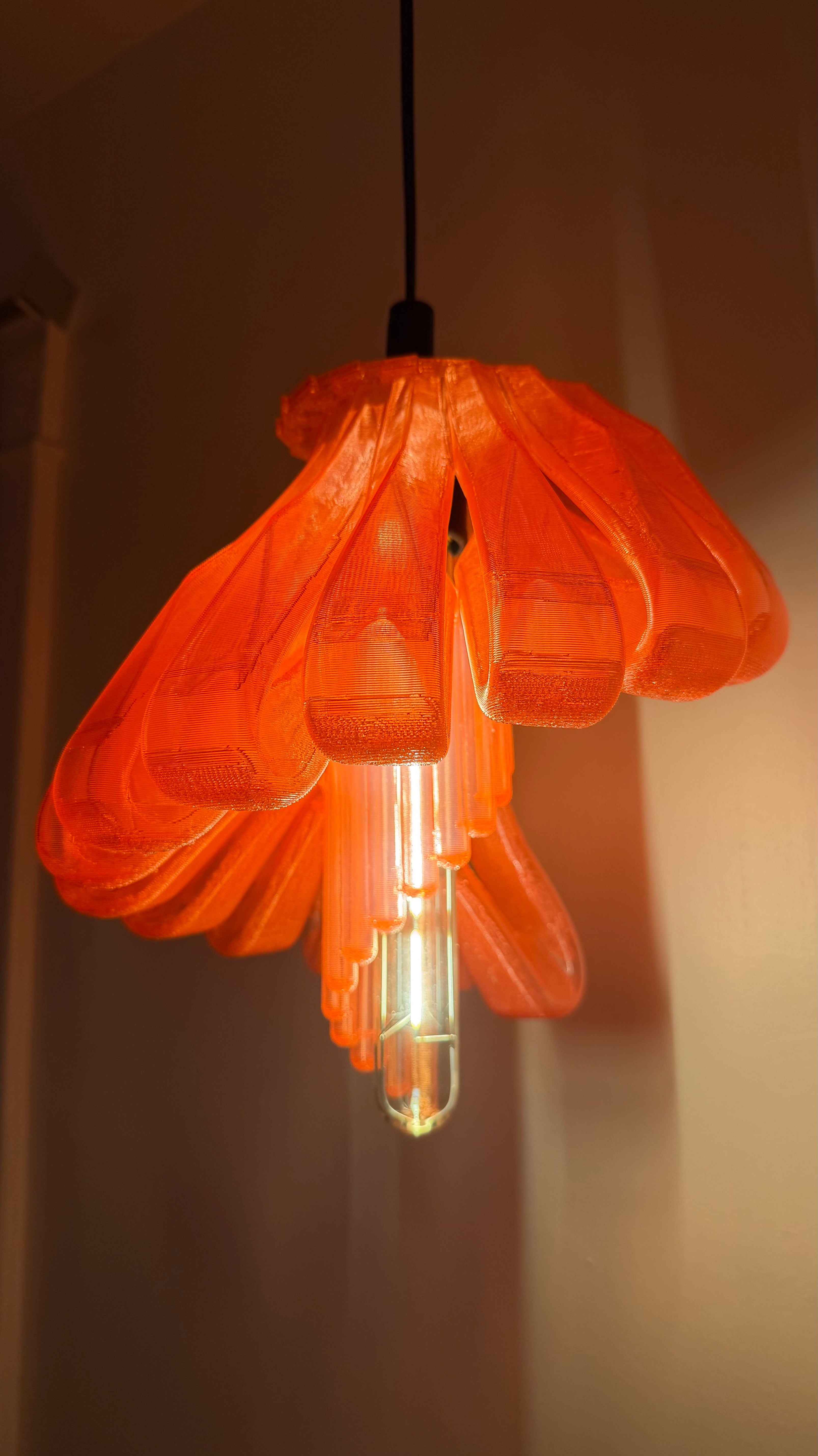 Arise Pendant Light