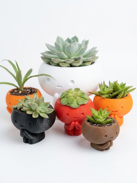 Pot Head Planter
